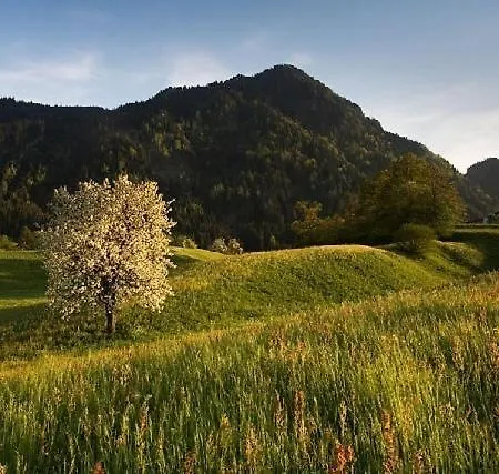 Haus Barbara Reith im Alpbachtal